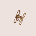 Anello Fonte Pliniano